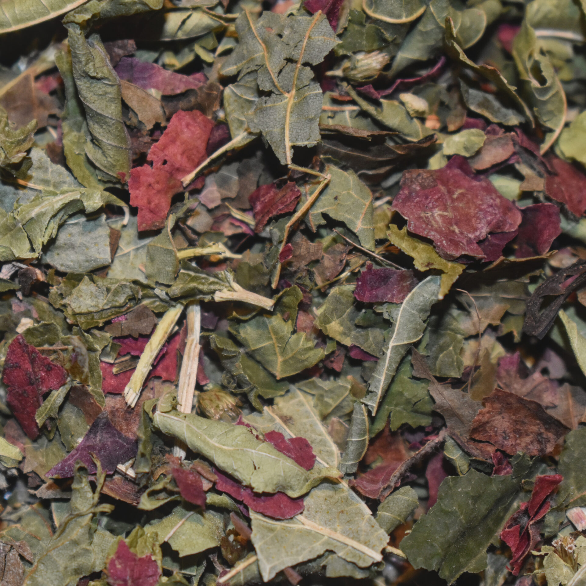 Ingrédients de la tisane Nosferatu : Achillée millefeuille, Cassis, Noisetier, Noyer, Verveine odorante, Vigne rouge