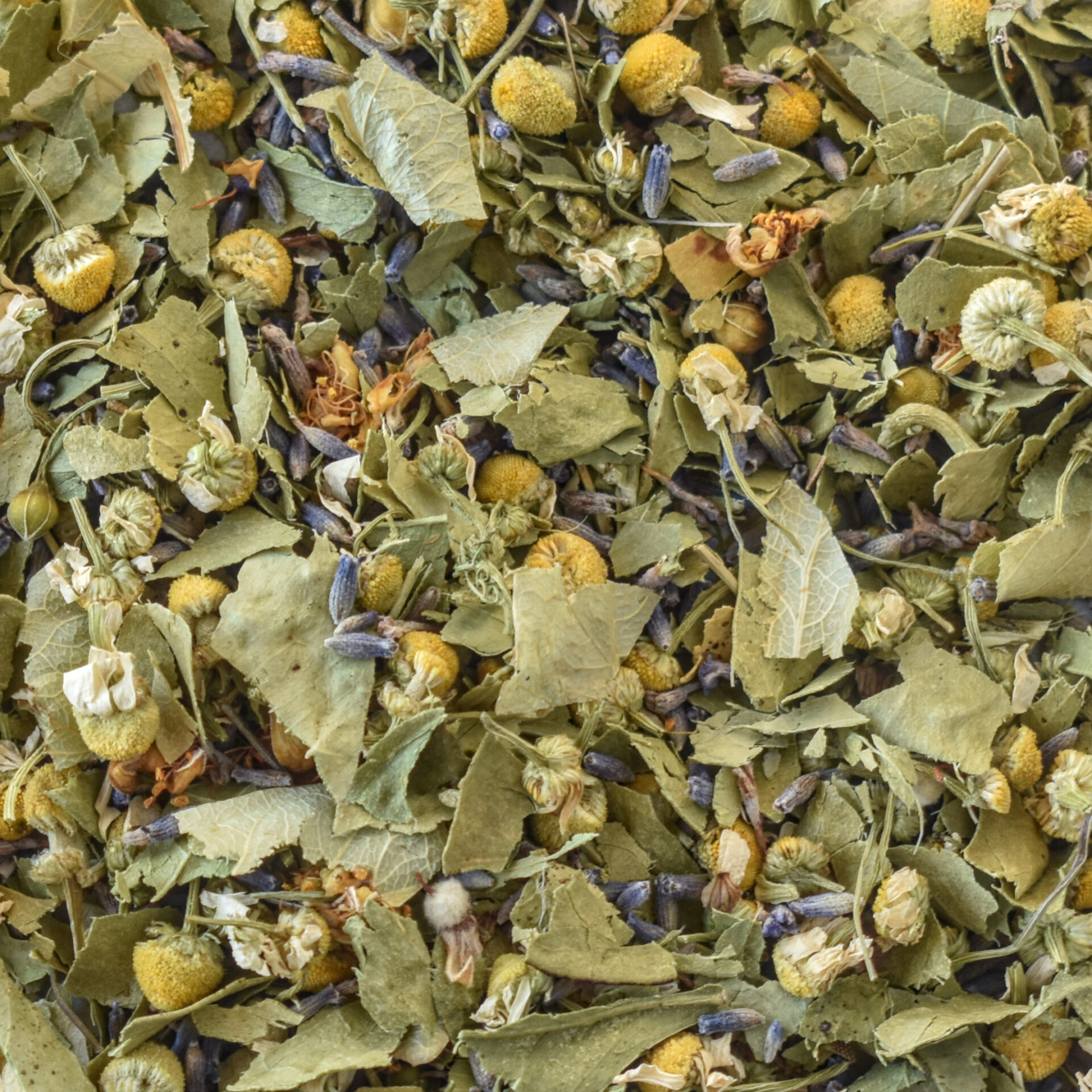 Ingrédients de la tisane Nyx : Lavande, Matricaire, Oranger bigarade, Tilleul