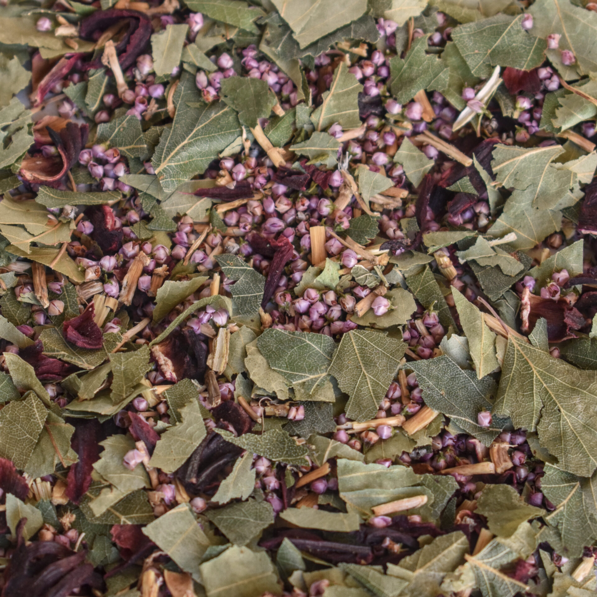 Tisane POTION MICTION – Image 2