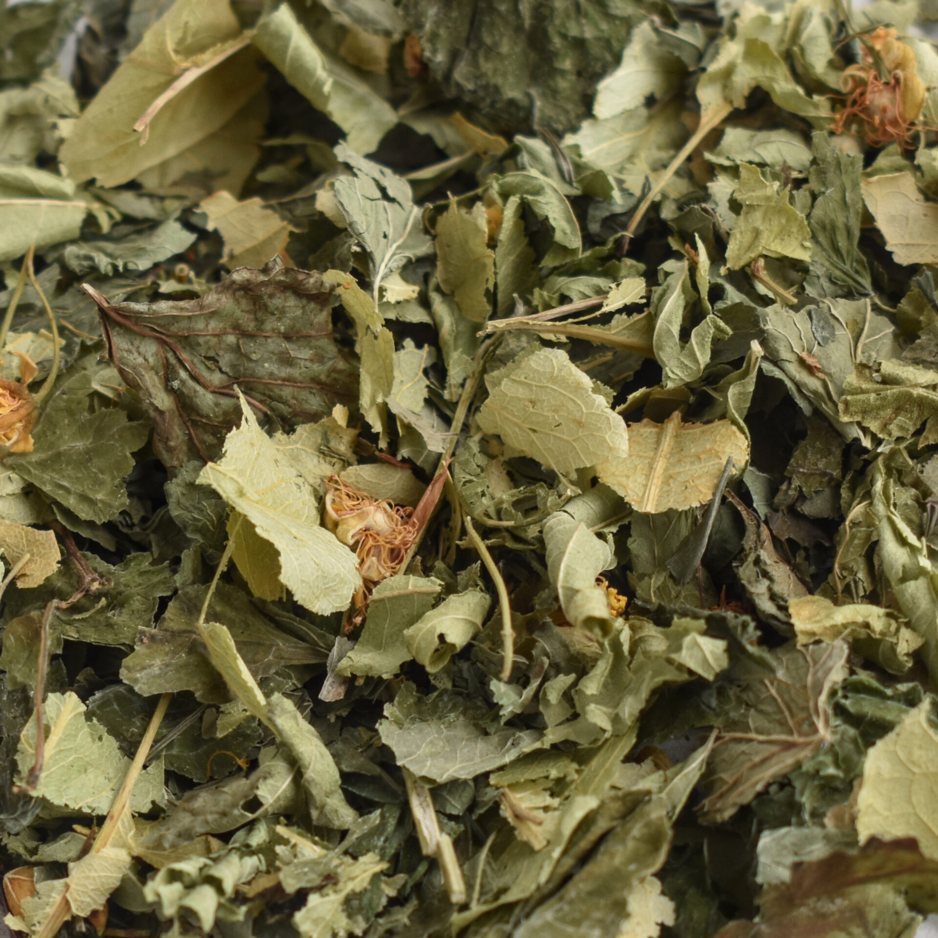 Ingrédients de la tisane Morphée : Aspérule odorante, Mélisse, Tilleul, Verveine