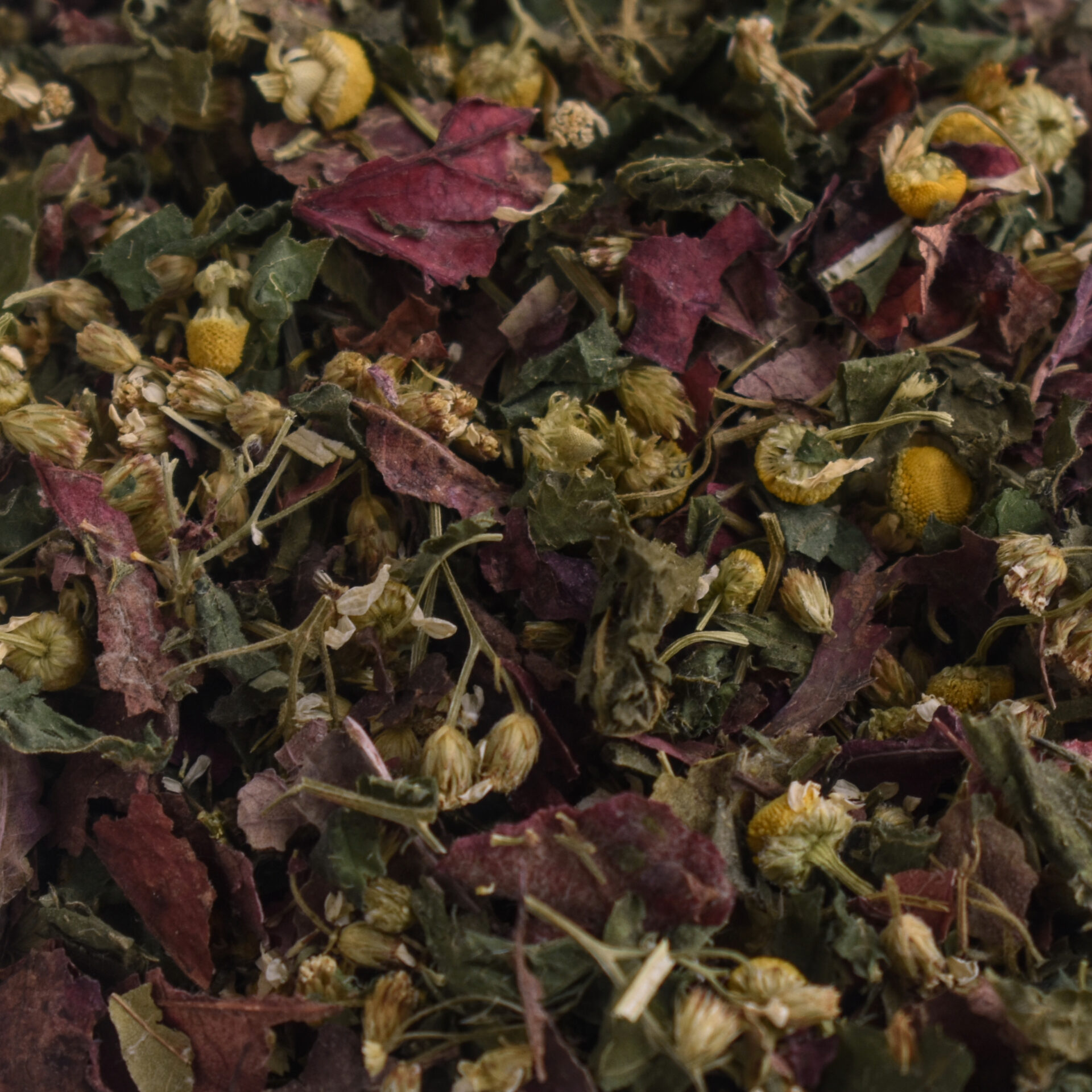 Tisane FÉMINISSIME – Image 2