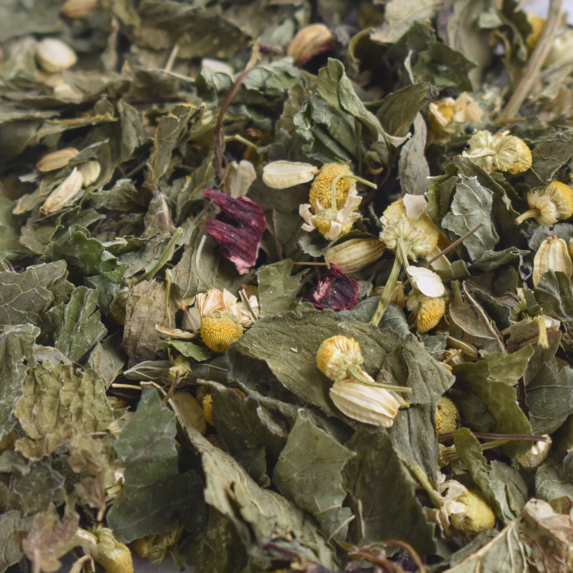 Ingrédients de la tisane Ventre Calme : Angélique, Hibiscus, Matricaire, Mélisse, Menthe poivrée