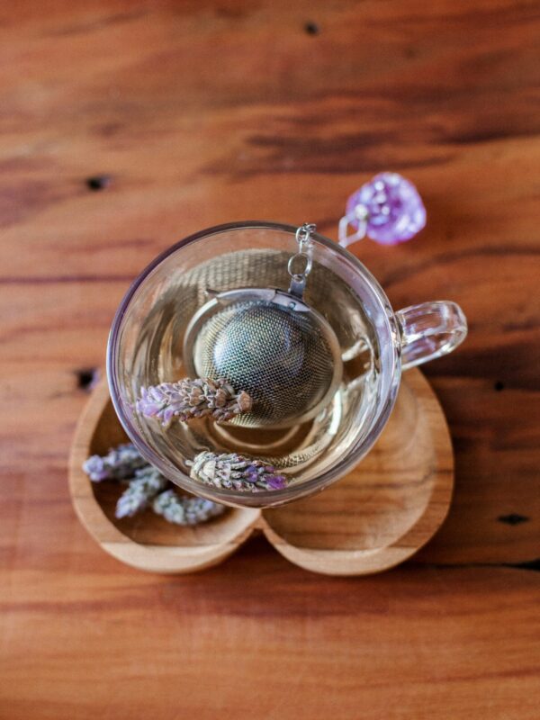 Détentez-vous en savourant une tisane du Camphrier.