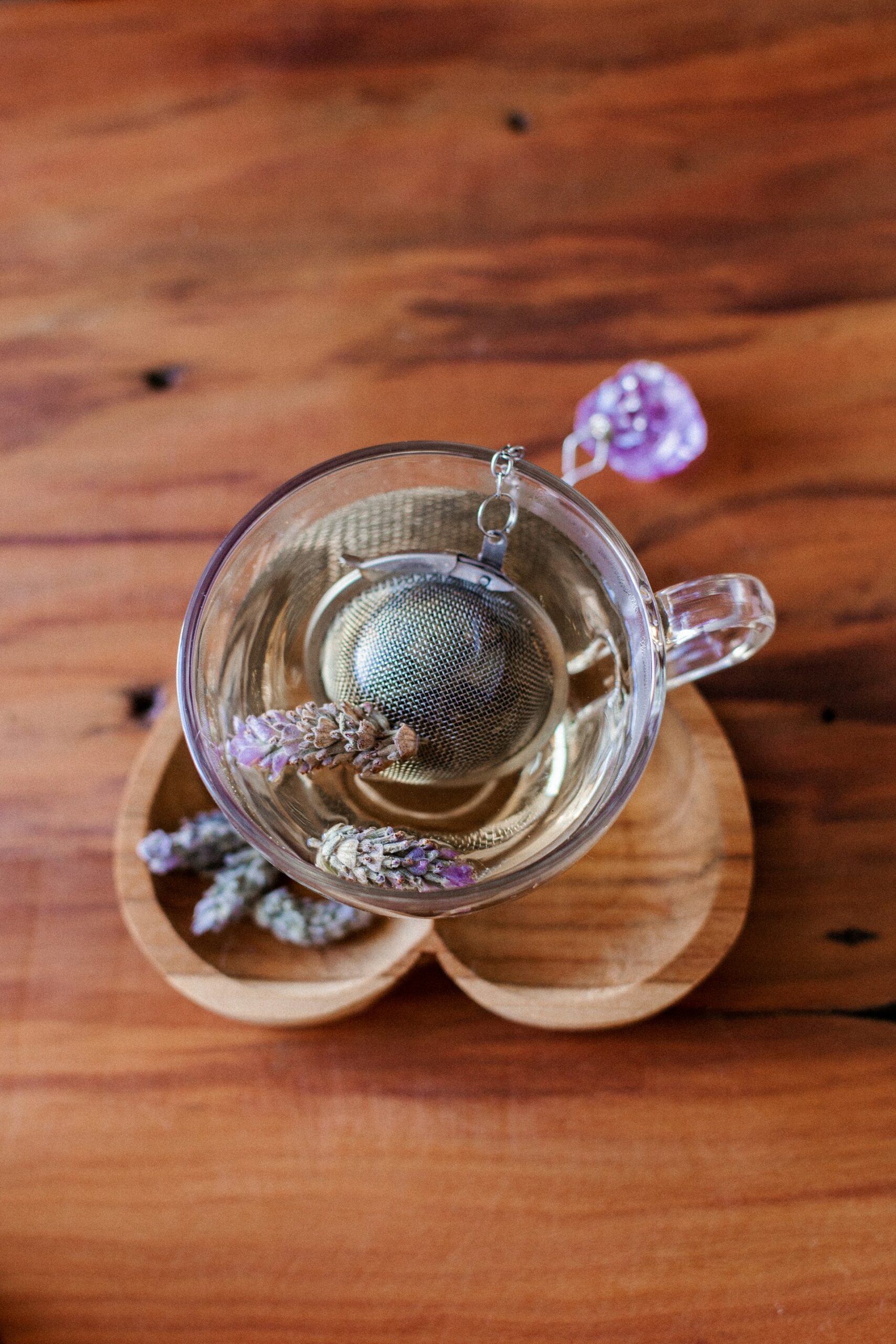 Détentez-vous en savourant une tisane du Camphrier.