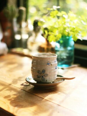 Découvrez les tisanes du Camphrier qui facilitent vos mouvements.