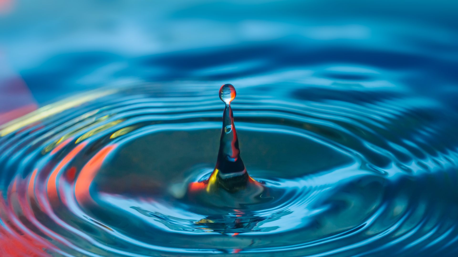 Sphére mouvement Tisanes Le camphrier