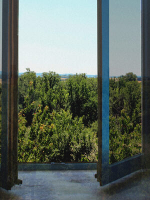 Sphère Respiratoire