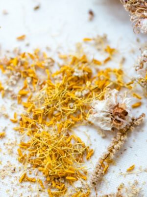 Tisanes Le Camphrier Visuel Sphère Vitalité