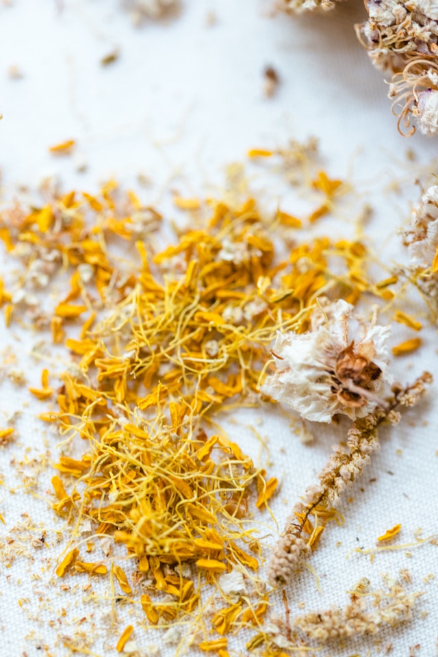 Tisanes Le Camphrier Visuel Sphère Vitalité