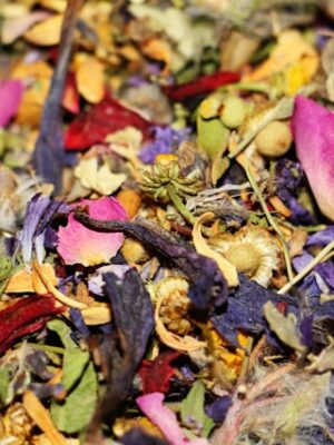 Tisanes Le Camphrier Visuel Sphère Féminissime