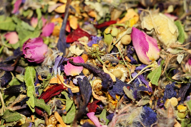 Tisanes Le Camphrier Visuel Sphère Féminissime