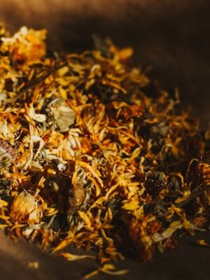 Visuel Le Camphrier Tisane Sphère digestive