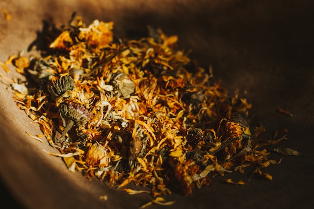 Visuel Le Camphrier Tisane Sphère digestive